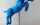 1 - Paris Art Web - Sculpture - Saone De Stalh - Small Horse Series - Kuhmo